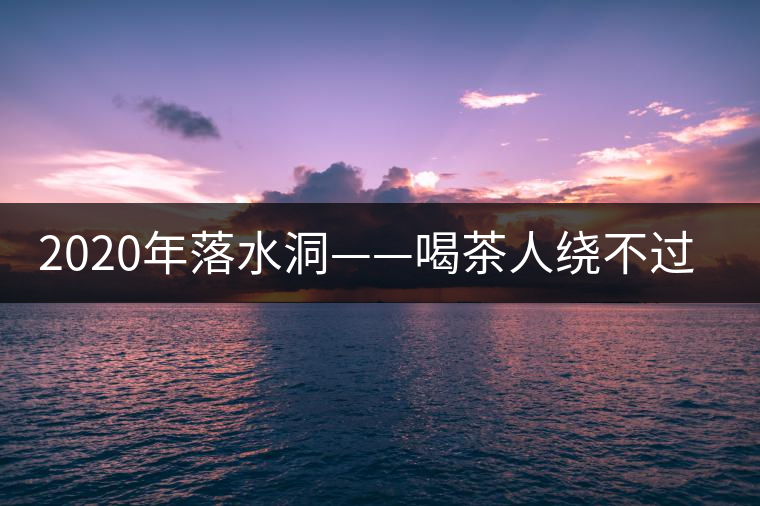 2020年落水洞——喝茶人繞不過的溫柔鄉(xiāng)！-易武中聘號