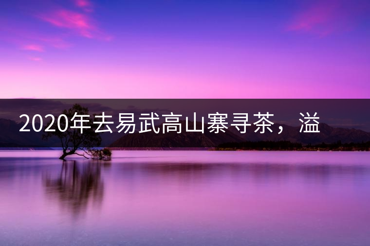 2020年去易武高山寨尋茶，溢滿茶香的古樹寨子-易武中聘號
