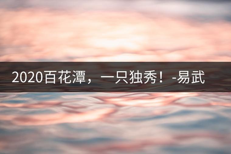 2020百花潭，一只獨秀！-易武中聘號