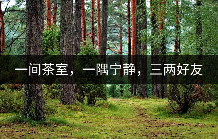 一間茶室，一隅寧靜，三兩好友