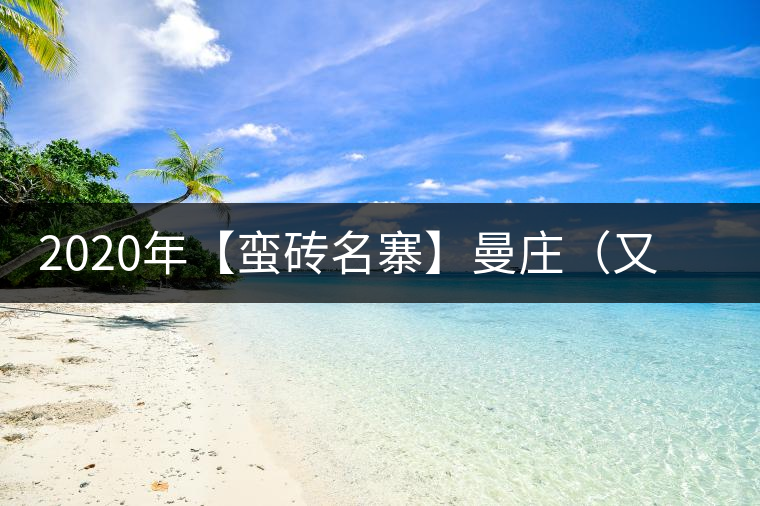 2020年【蠻磚名寨】曼莊（又作：蠻磚、曼磚）-易武中聘號