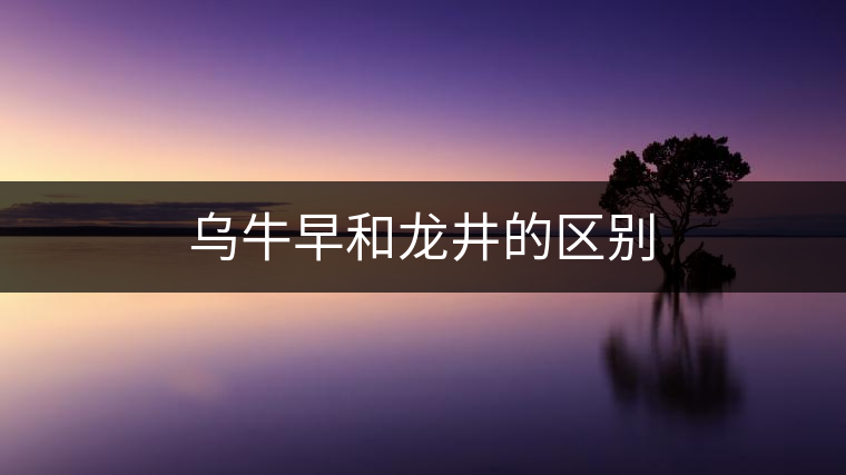 烏牛早和龍井的區(qū)別