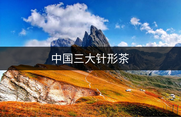 中國三大針形茶