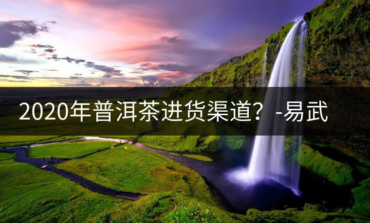 2020年普洱茶進貨渠道？-易武中聘號