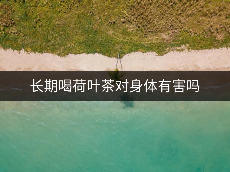長期喝荷葉茶對身體有害嗎 長期喝荷葉茶對身體有害嗎