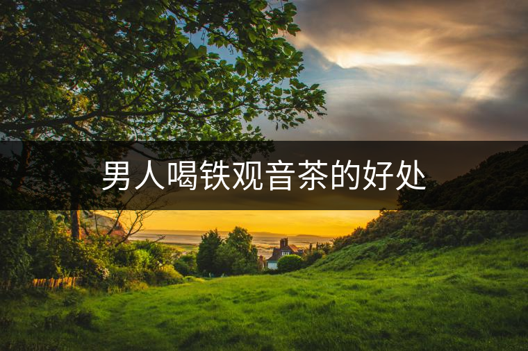 男人喝鐵觀音茶的好處 男人喝鐵觀音茶的好處