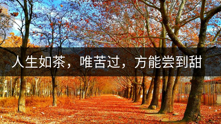 人生如茶，唯苦過，方能嘗到甜滋味