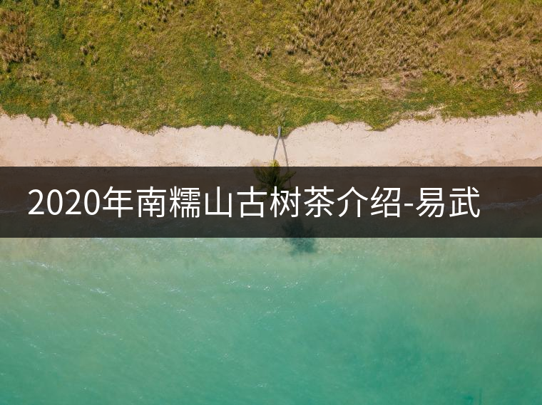 2020年南糯山古樹(shù)茶介紹-易武中聘號(hào) 2020年南糯山古樹(shù)茶介紹-易武中聘號(hào)
