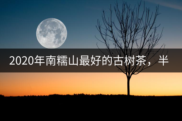 2020年南糯山最好的古樹茶，半坡老寨！-易武中聘號