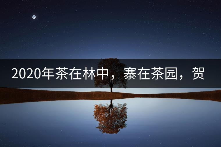 2020年茶在林中，寨在茶園，賀開古樹茶-易武中聘號