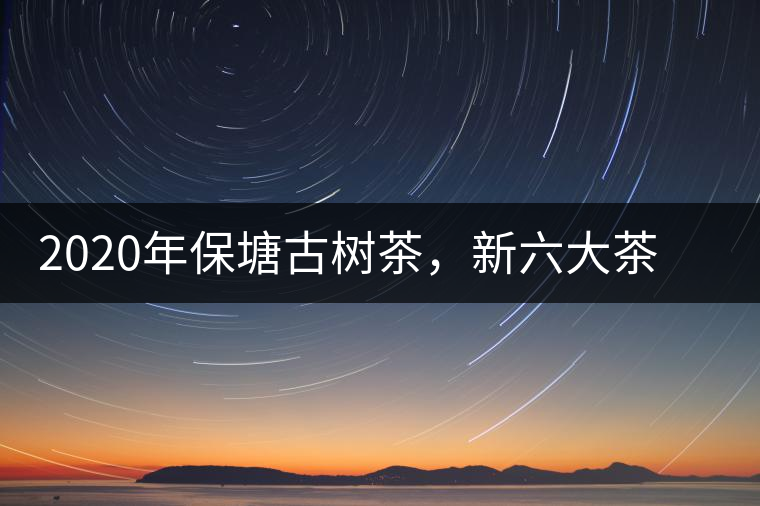 2020年保塘古樹茶，新六大茶山之勐宋茶佼佼者-易武中聘號