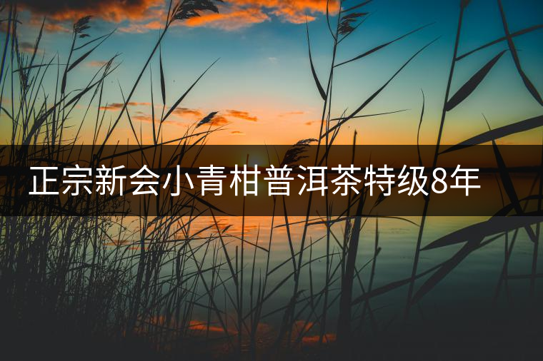 正宗新會(huì)小青柑普洱茶特級(jí)8年宮廷熟茶普橘普高檔禮盒裝內(nèi)含茶具