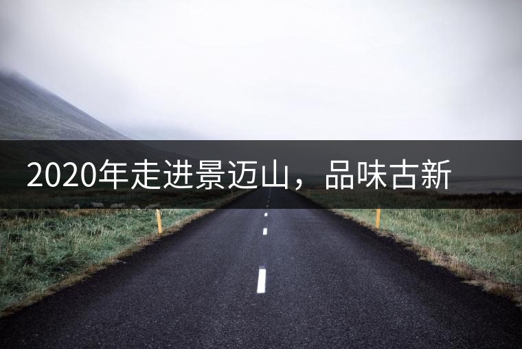 2020年走進(jìn)景邁山，品味古新六大茶山古樹茶之韻-易武中聘號
