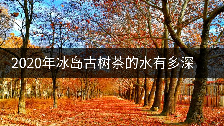 2020年冰島古樹茶的水有多深？別被蒙在鼓里啦-易武中聘號