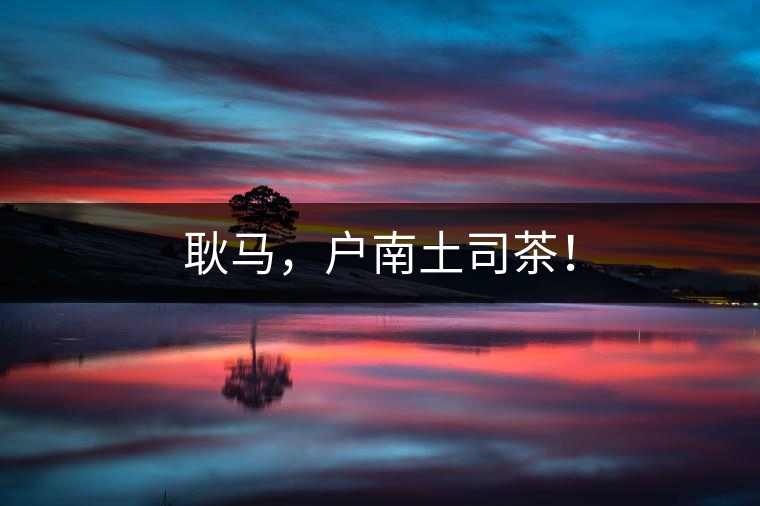 耿馬，戶南土司茶！