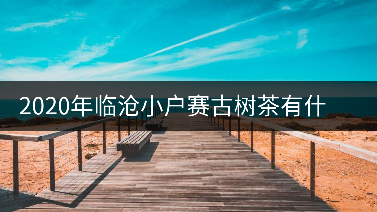 2020年臨滄小戶賽古樹茶有什么特點(diǎn)？因何被稱為“賽冰島”？-易武中聘號(hào)