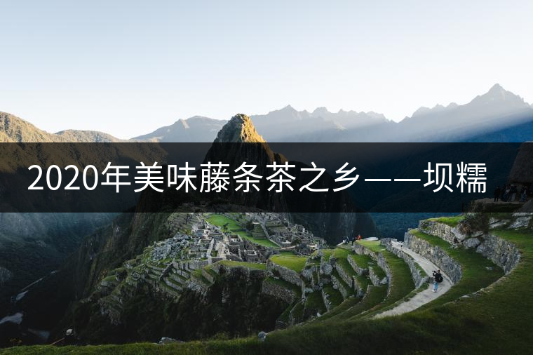 2020年美味藤條茶之鄉(xiāng)——壩糯-易武中聘號 2020年美味藤條茶之鄉(xiāng)——壩糯-易武中聘號