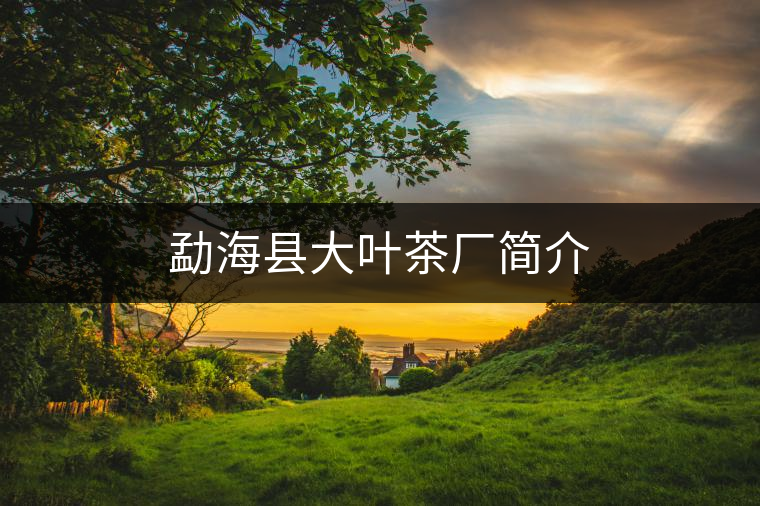 勐?？h大葉茶廠簡介