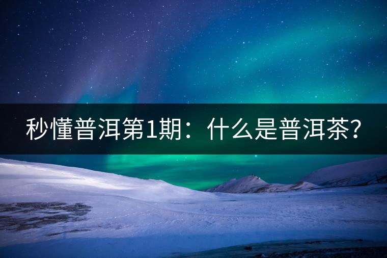 秒懂普洱第1期：什么是普洱茶？