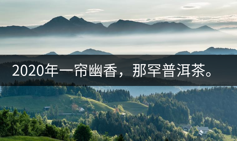 2020年一簾幽香，那罕普洱茶。-易武中聘號