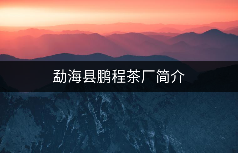 勐?？h鵬程茶廠簡介
