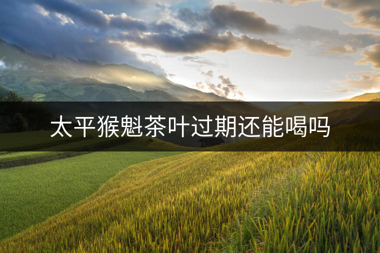 太平猴魁茶葉過期還能喝嗎