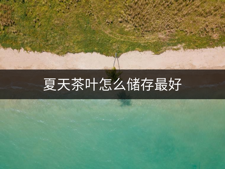 夏天茶葉怎么儲(chǔ)存最好
