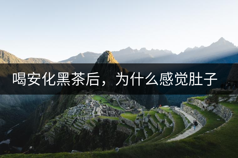 喝安化黑茶后，為什么感覺肚子餓的快？