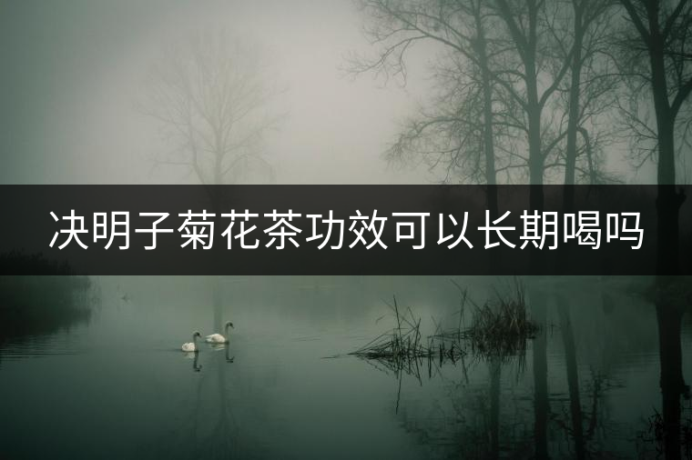 決明子菊花茶功效可以長(zhǎng)期喝嗎