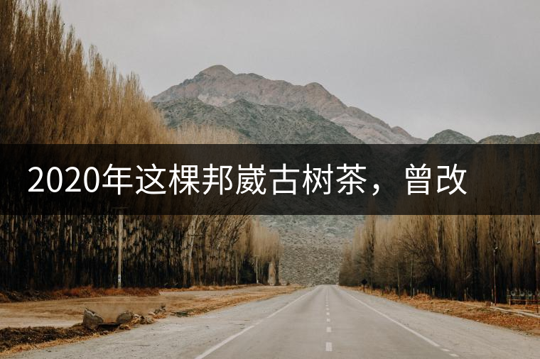 2020年這棵邦崴古樹(shù)茶，曾改寫(xiě)普洱茶歷史！-易武中聘號(hào)