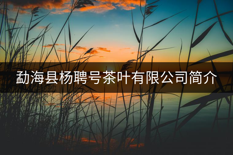 勐?？h楊聘號(hào)茶葉有限公司簡介