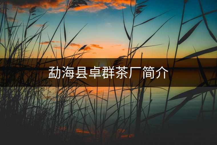 勐海縣卓群茶廠簡(jiǎn)介