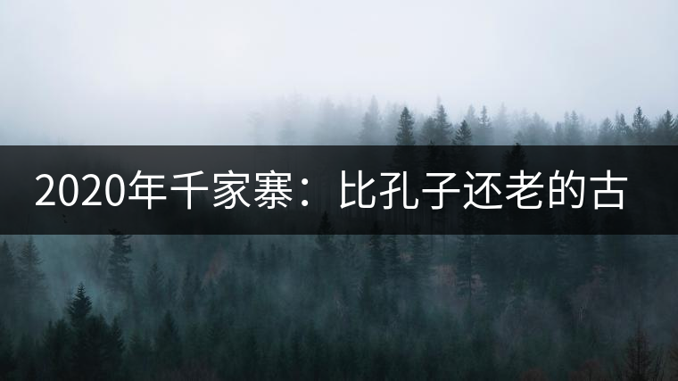 2020年千家寨：比孔子還老的古茶樹-易武中聘號(hào)