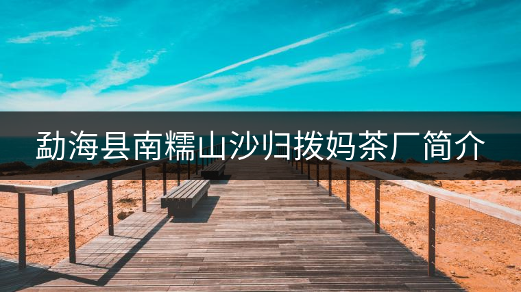 勐海縣南糯山沙歸撥媽茶廠簡介