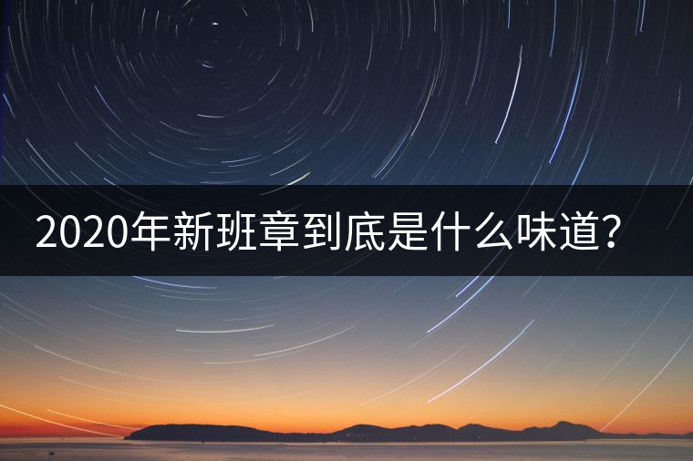 2020年新班章到底是什么味道？-易武中聘號(hào)
