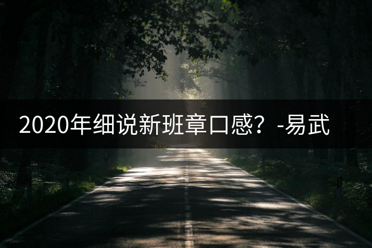 2020年細(xì)說新班章口感？-易武中聘號
