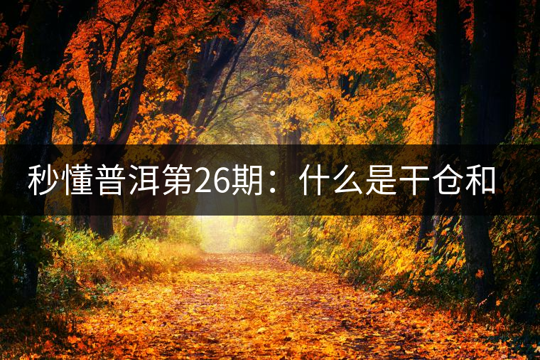 秒懂普洱第26期：什么是干倉和濕倉？