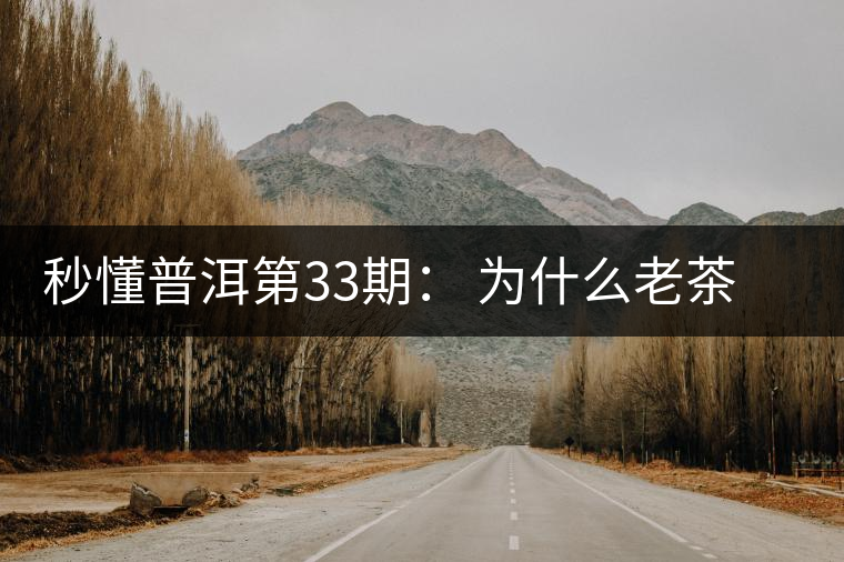 秒懂普洱第33期： 為什么老茶客都喜歡用紫砂壺泡普洱茶？