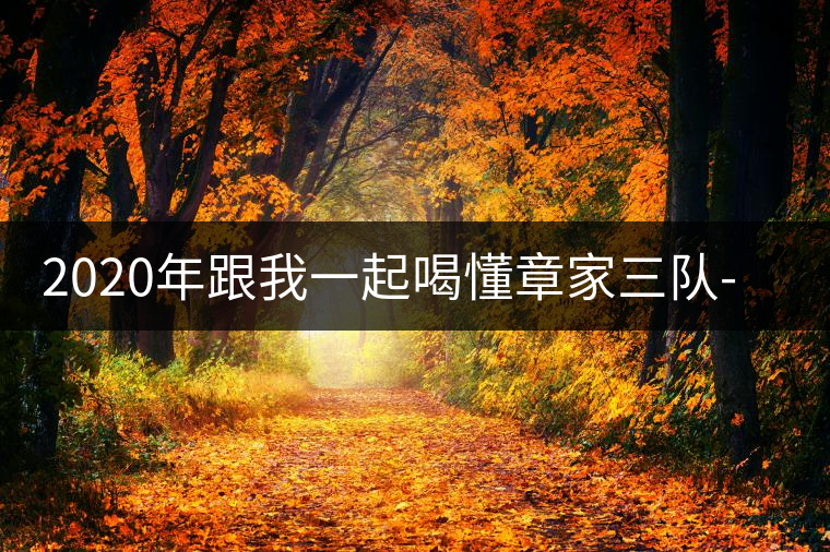 2020年跟我一起喝懂章家三隊(duì)-易武中聘號