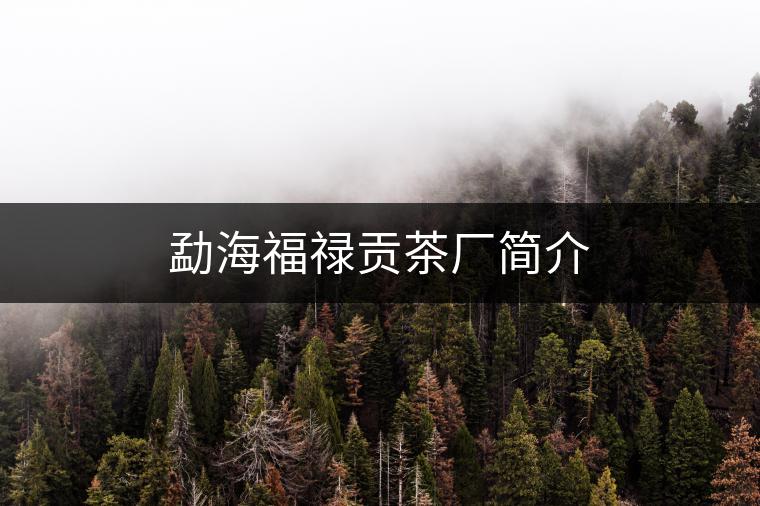 勐海福祿貢茶廠簡(jiǎn)介 勐海福祿貢茶廠簡(jiǎn)介