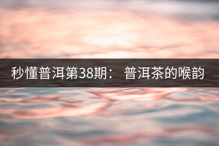 秒懂普洱第38期： 普洱茶的喉韻是什么？