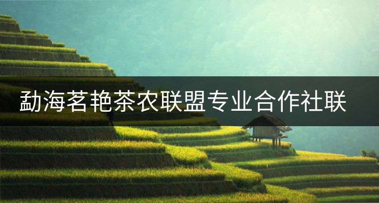 勐海茗艷茶農(nóng)聯(lián)盟專業(yè)合作社聯(lián)合社簡介