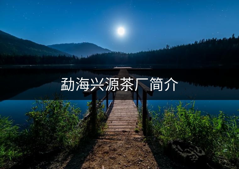 勐海興源茶廠簡(jiǎn)介
