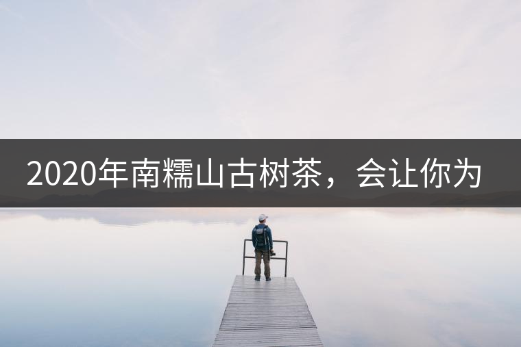 2020年南糯山古樹茶，會(huì)讓你為之著迷-易武中聘號(hào)