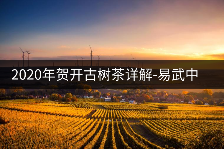 2020年賀開(kāi)古樹(shù)茶詳解-易武中聘號(hào)
