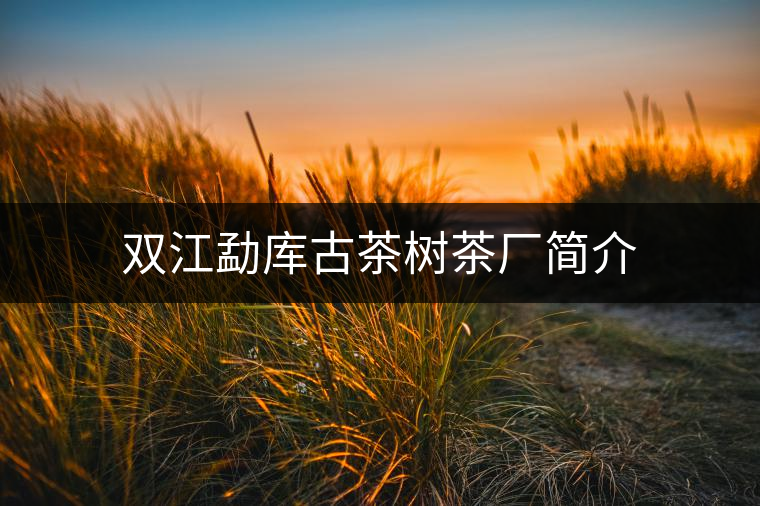 雙江勐庫(kù)古茶樹(shù)茶廠簡(jiǎn)介