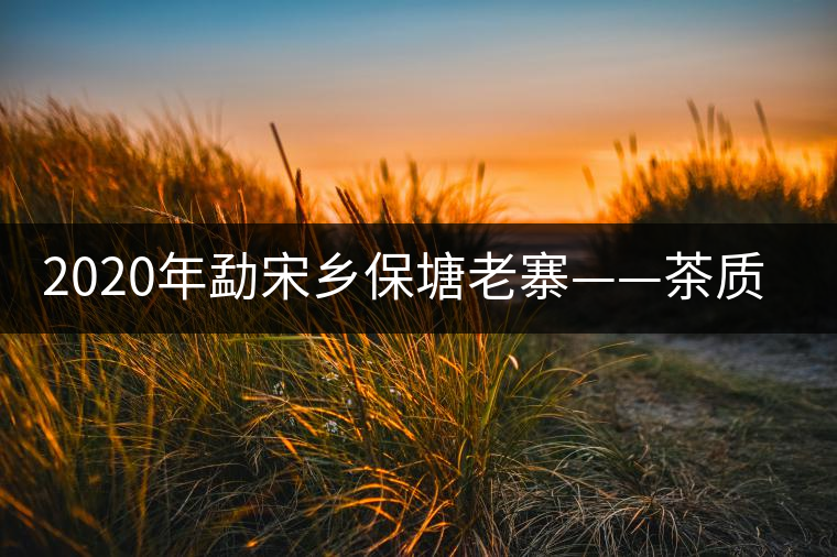 2020年勐宋鄉(xiāng)保塘老寨——茶質(zhì)厚重,一飲難忘-易武中聘號(hào) 2020年勐宋鄉(xiāng)保塘老寨——茶質(zhì)厚重,一飲難忘-易武中聘號(hào)