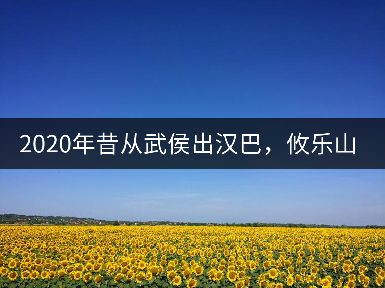 2020年昔從武侯出漢巴，攸樂山中只種茶。-易武中聘號