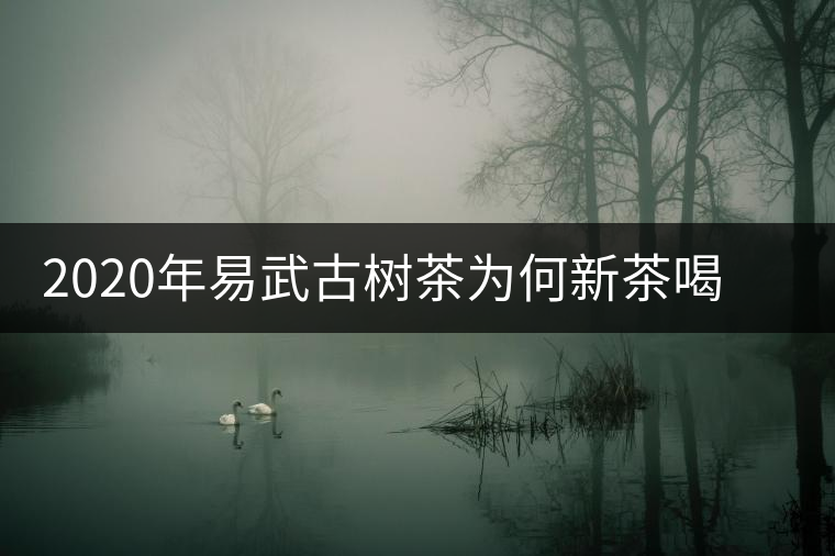 2020年易武古樹茶為何新茶喝時淡卻越放越濃？-易武中聘號