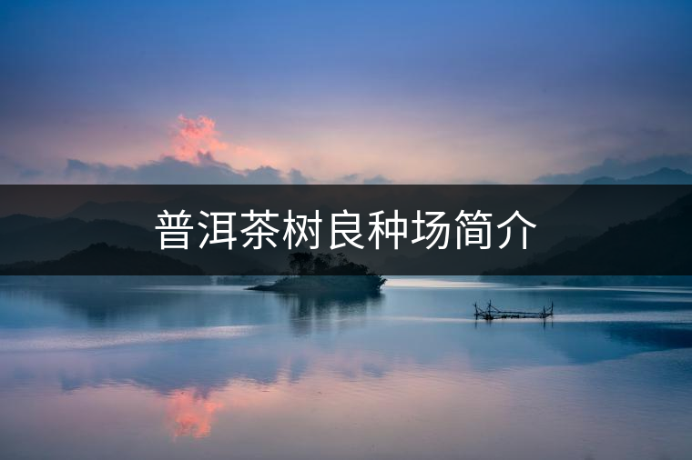 普洱茶樹良種場(chǎng)簡(jiǎn)介 普洱茶樹良種場(chǎng)簡(jiǎn)介